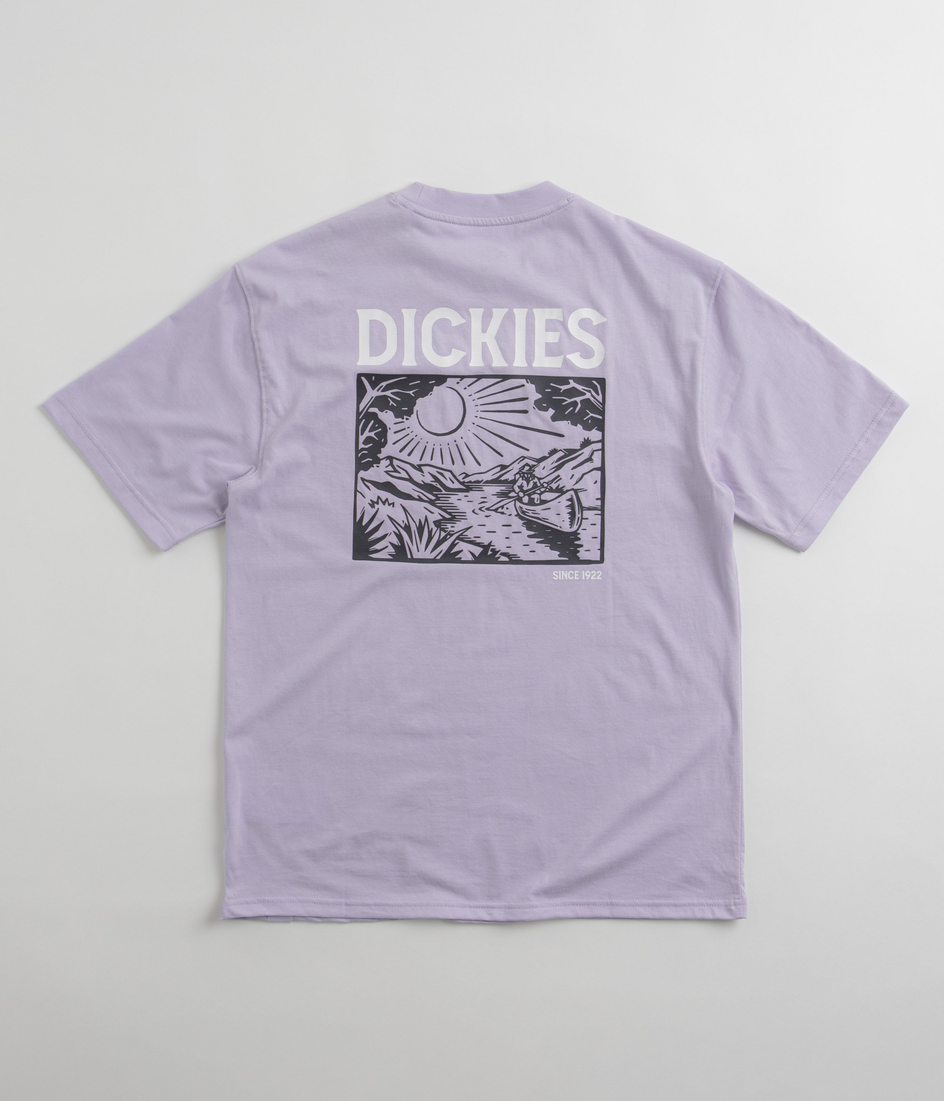 Dickies Patrick Springs Cosmic Sky T-Shirt - A Must-Have!