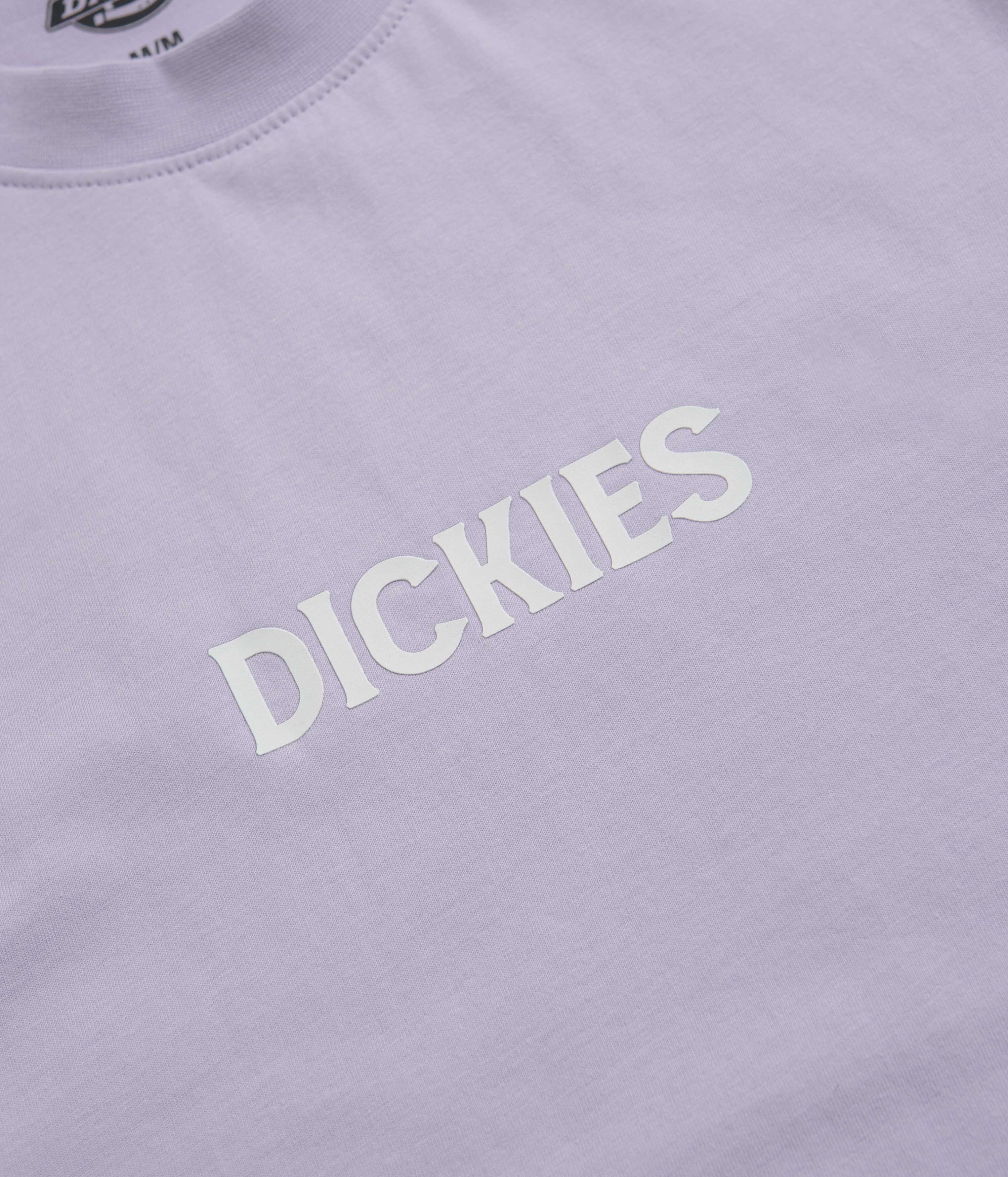 Dickies Patrick Springs Cosmic Sky T-Shirt - A Must-Have!