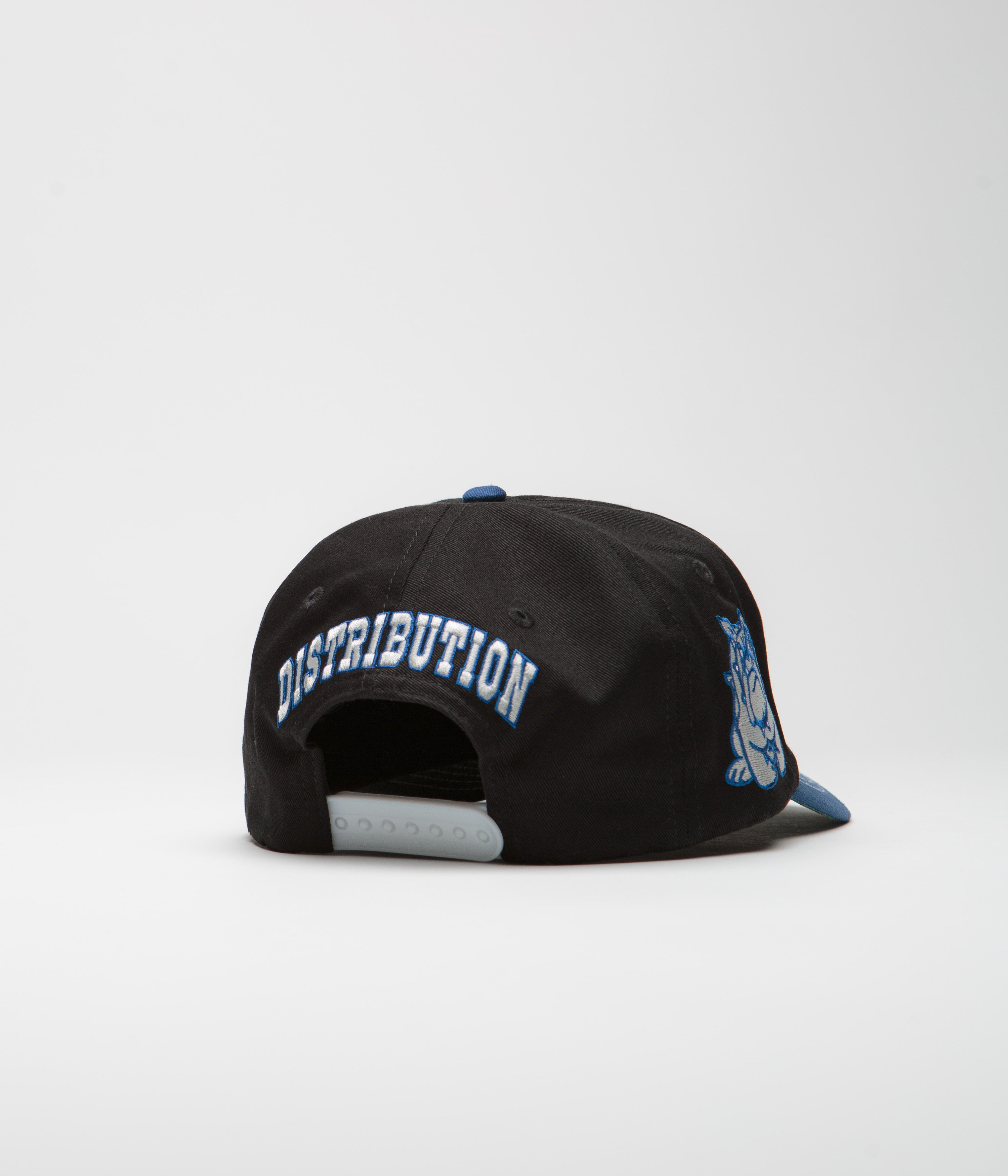 Cash Only City Wide Cap - Stunning Black / Royal