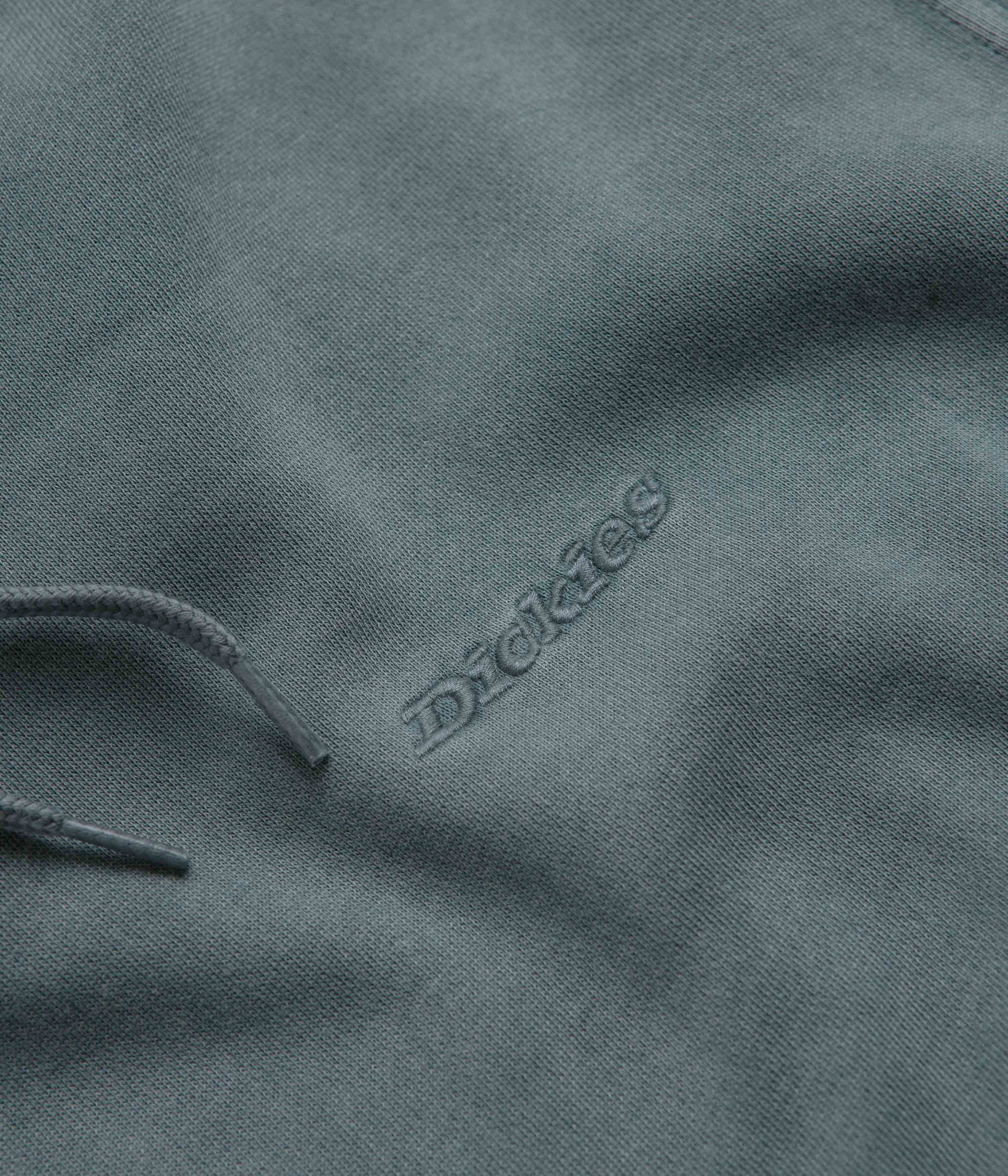 Dickies Plentywood Stormy Weather Hoodie - A Fashion Must-Have