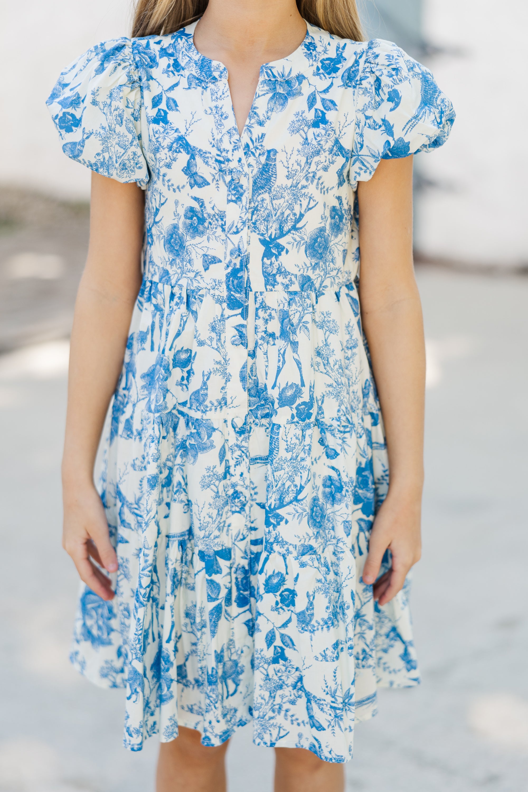 Girls' Blue Toile Dress: Absolutely Perfect for You!