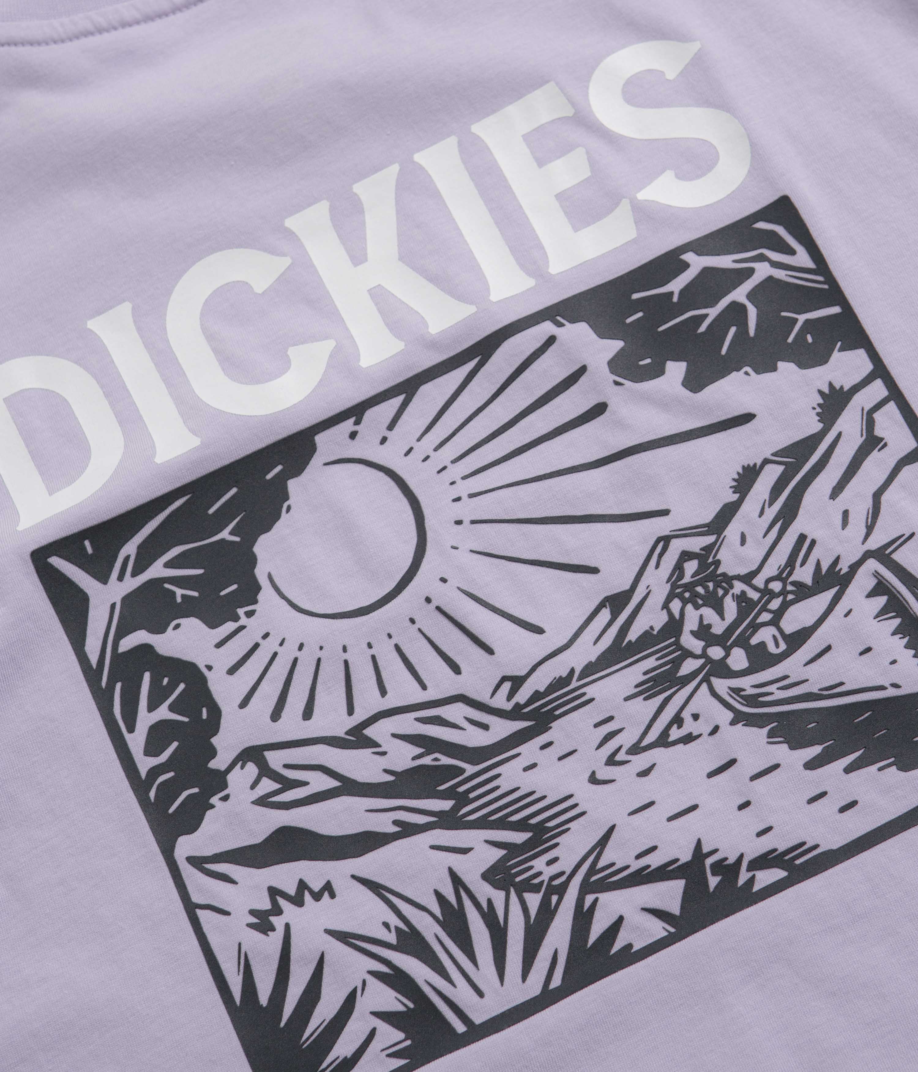 Dickies Patrick Springs Cosmic Sky T-Shirt - A Must-Have!